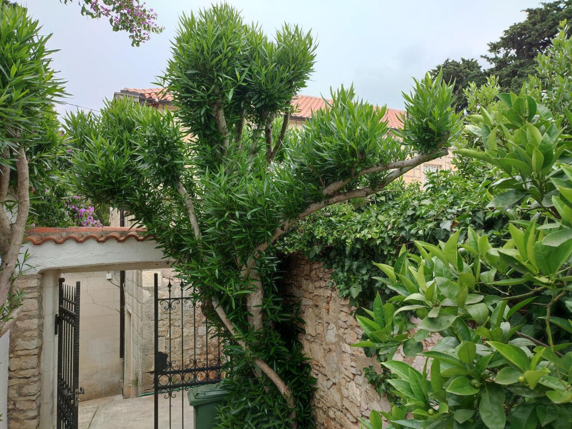 Villa Rustika Sutivan Exterior photo